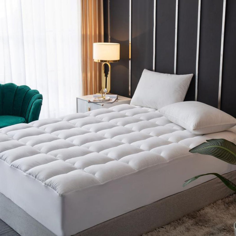 Alwyn Home Mattress Cover Cotton And Polyester Fiber Soft, Cool